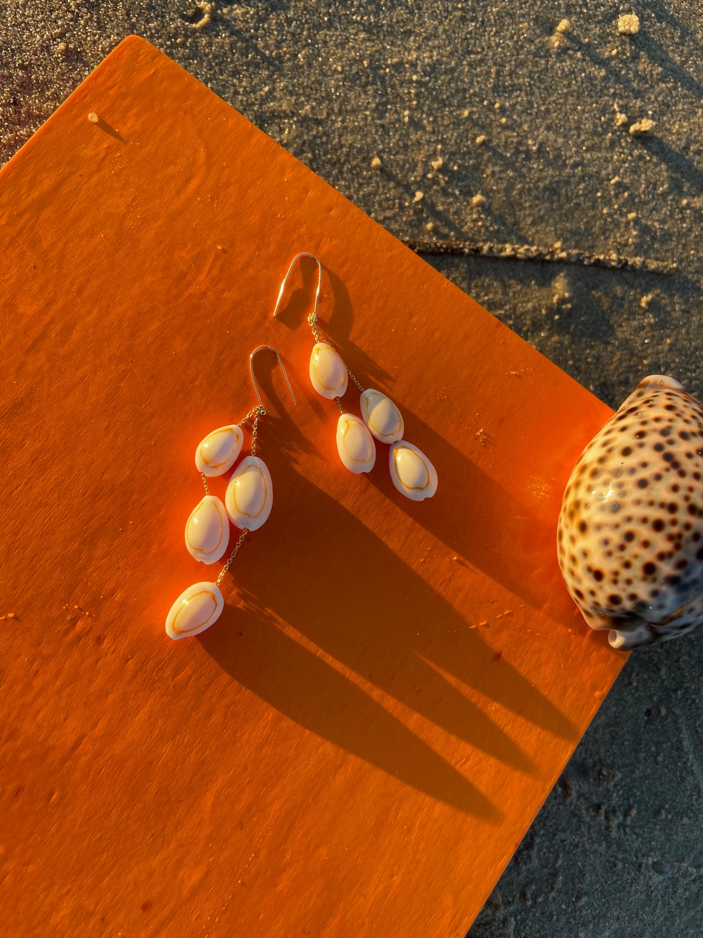 Cowrie Drop Earrings