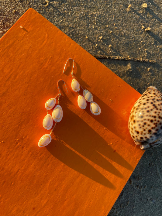 Cowrie Drop Earrings